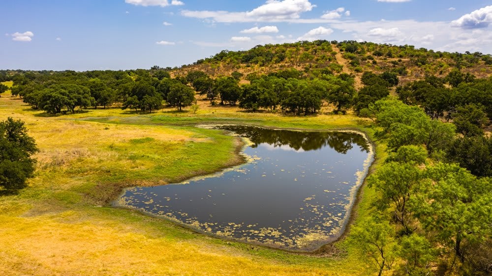 Dog Tick Ranch
