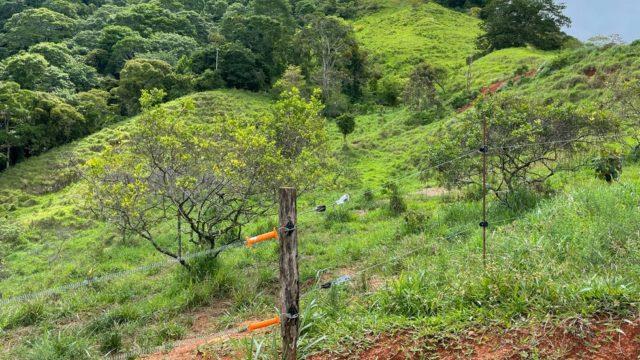 Riverfront Ranch Above Uvita With Waterfalls, and Ocean Views