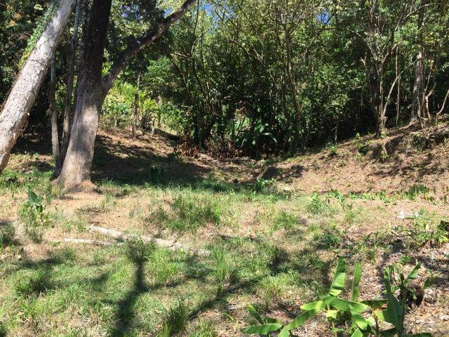 Manuel Antonio Beach Parcel