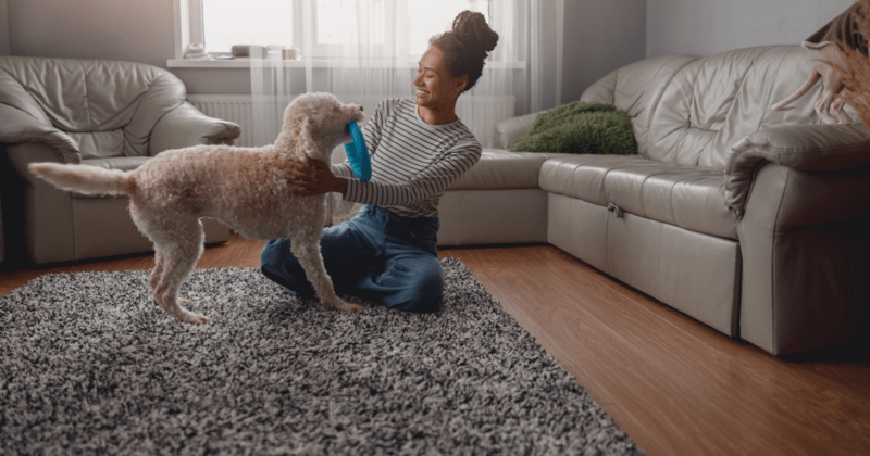 Updating Your Home Insurance Policy