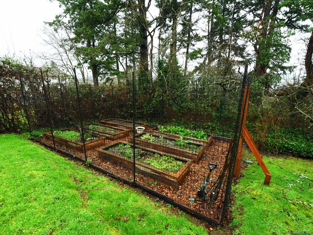 4075 Grange Rd, Saanich