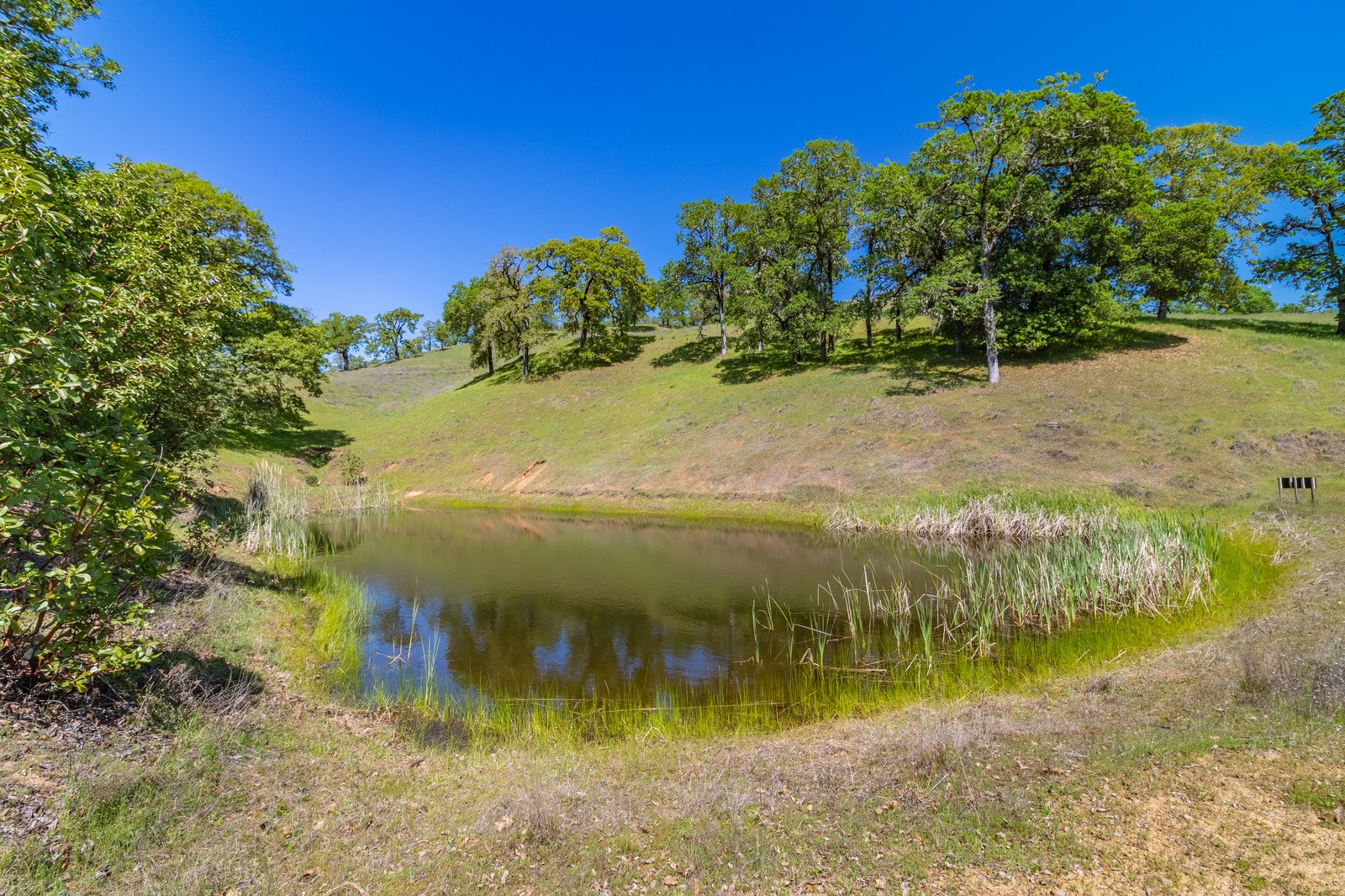 2800 Feliz Creek Rd.