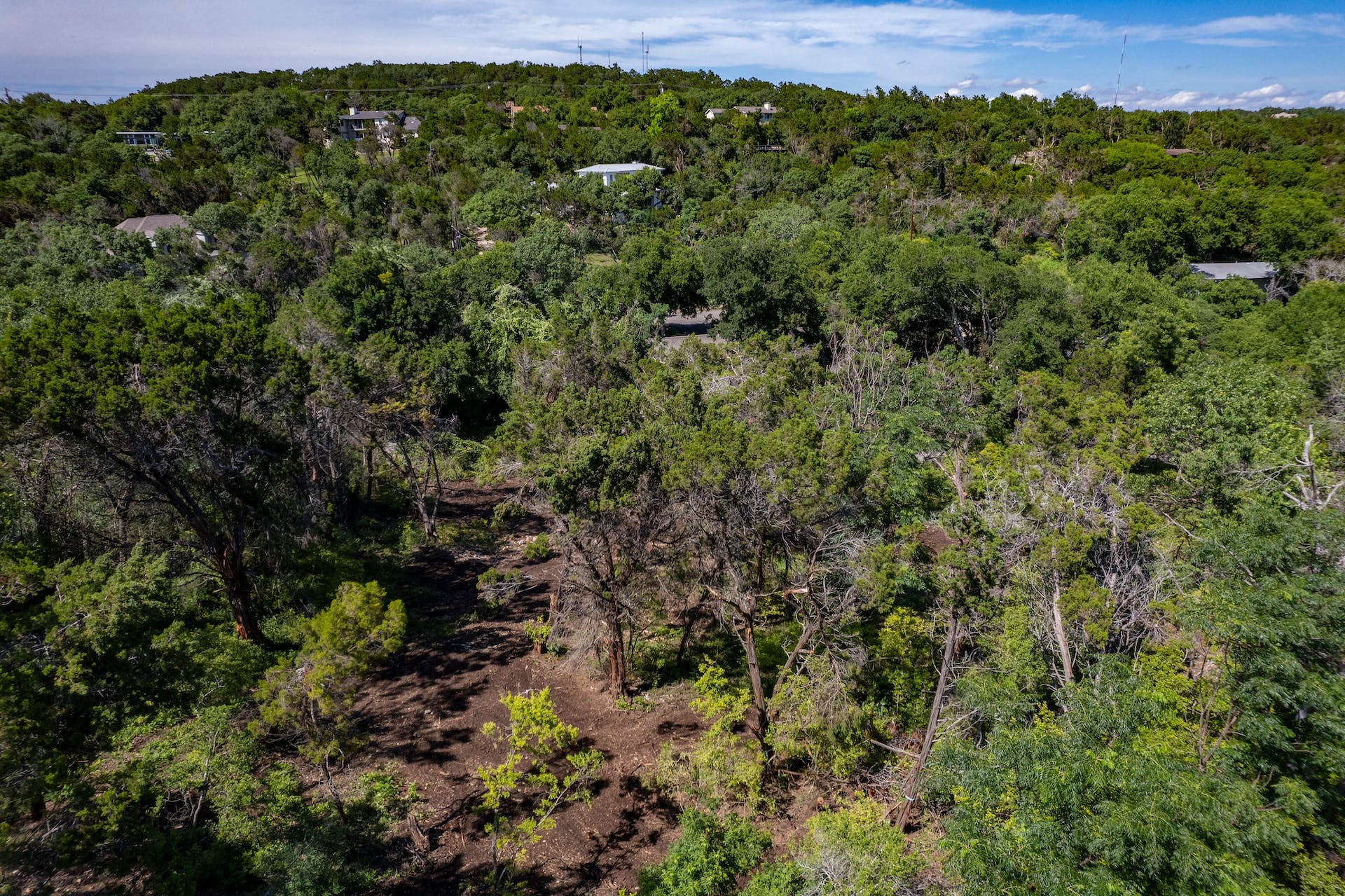 1217 Yaupon Valley Road