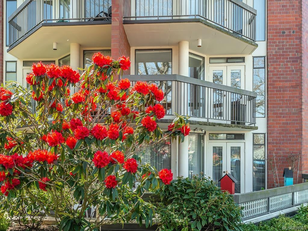 202-2119 Oak Bay Ave