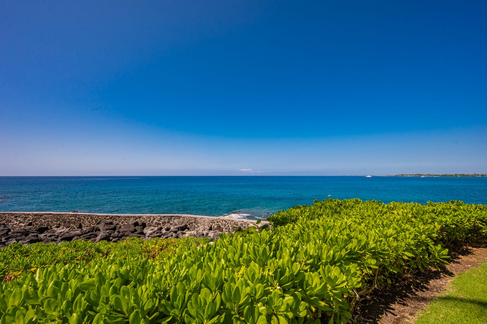 75-6002 Alii Drive Unit: 4207