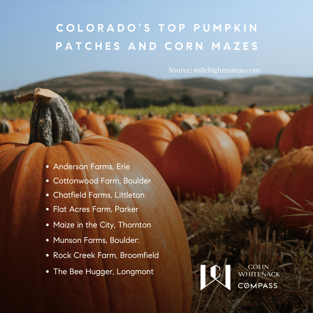 Colorado Pumpkin Patches