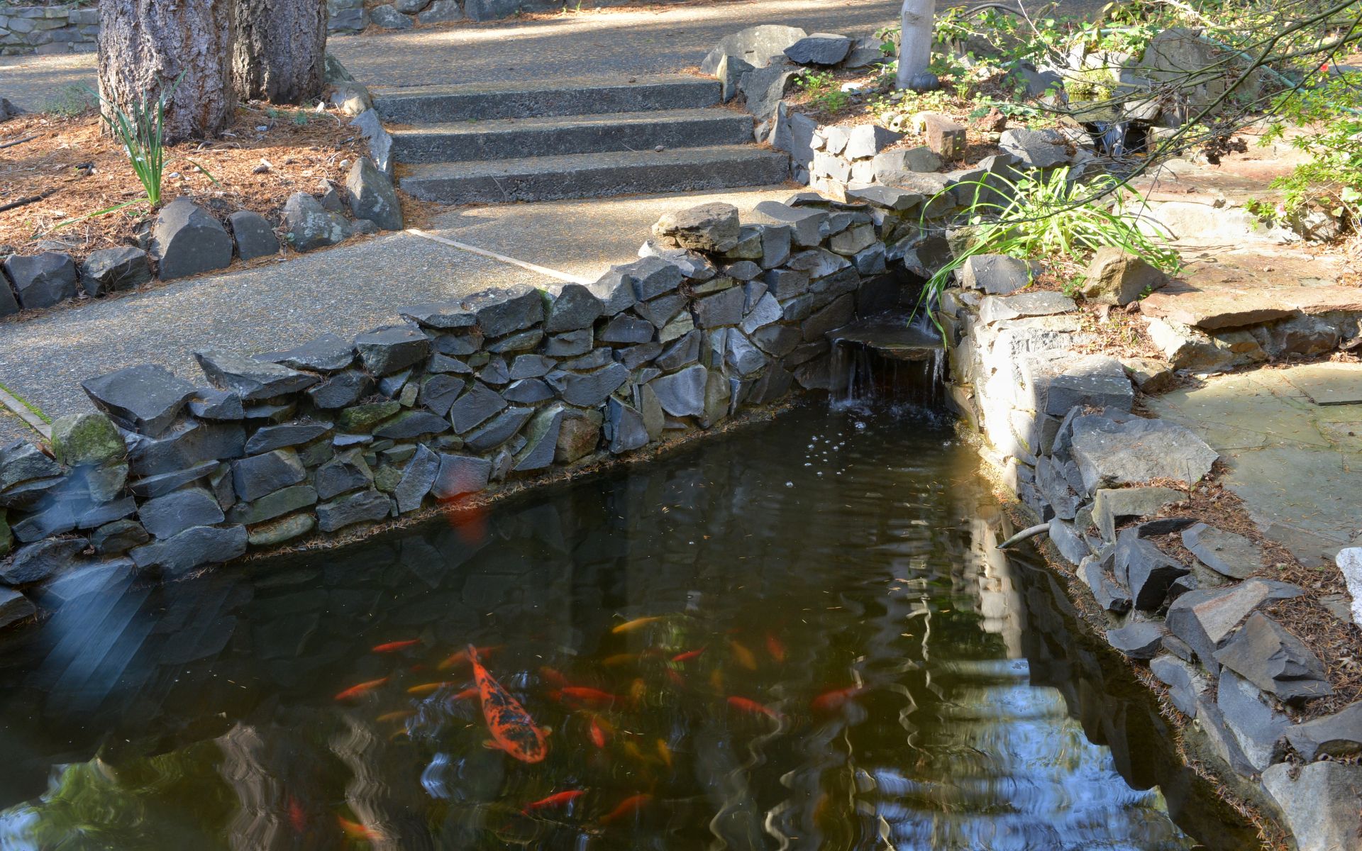 1030 Los Olivos Rd