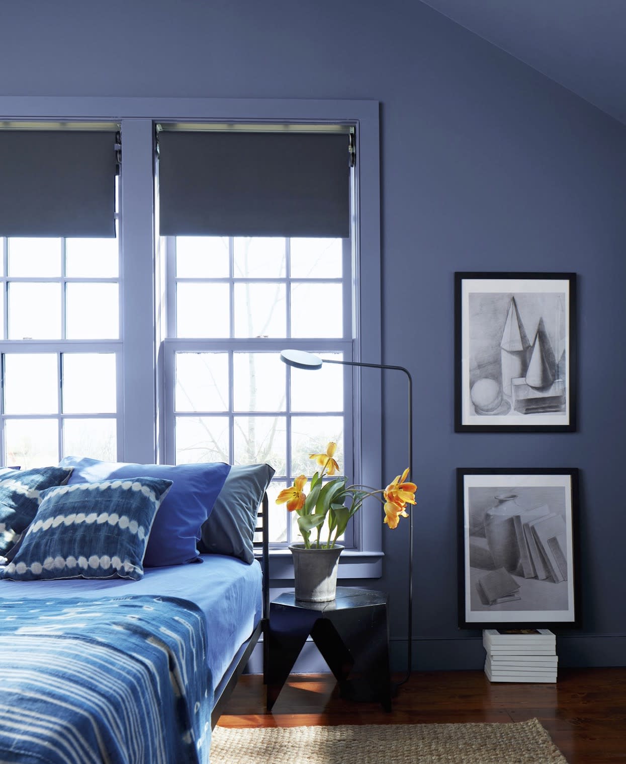 Blue Nova, Benjamin Moore’s 2024 Color of The Year