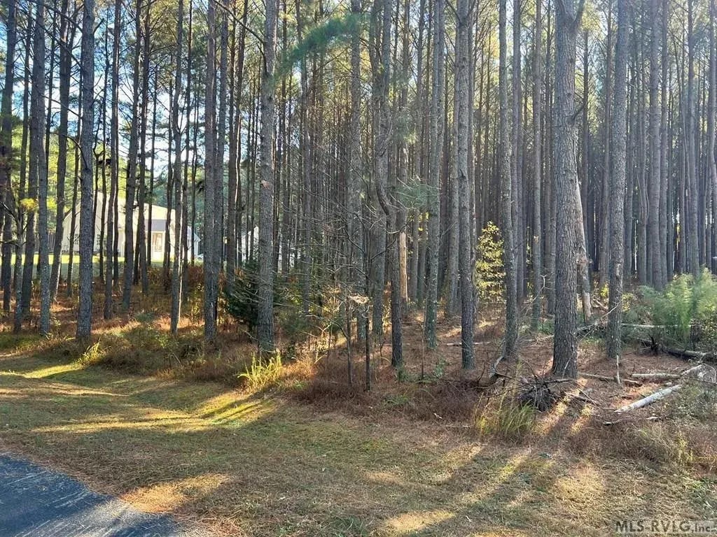 White Oak Ct, # 53
