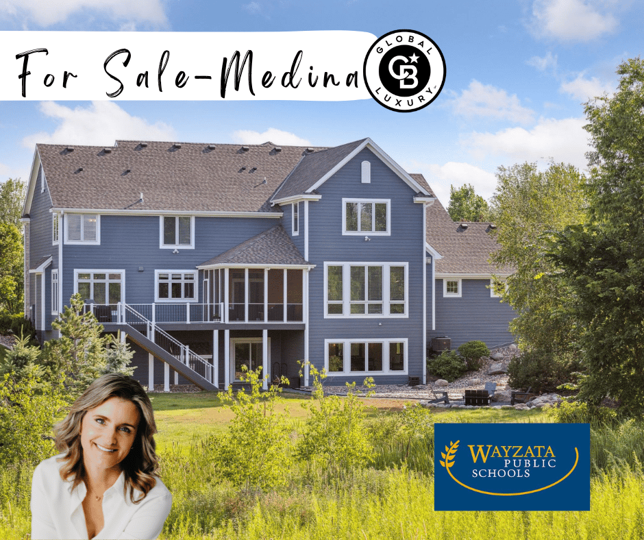 Wayzata School District Homes for Sale