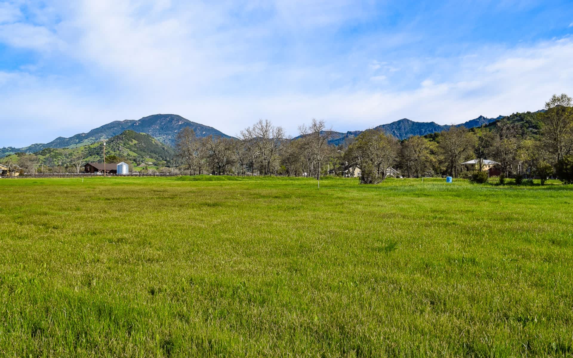 Premium One Acre Estate Site - SOLD