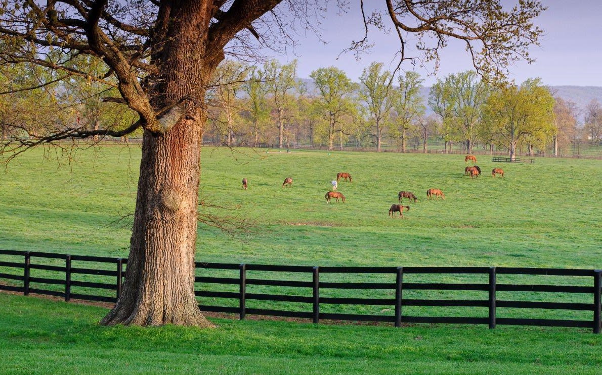 Upperville