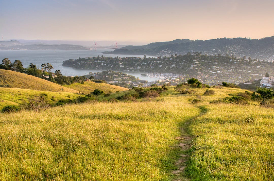 Available in Tiburon