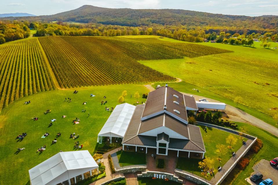 5 Wineries to Check Out in Frederick County 