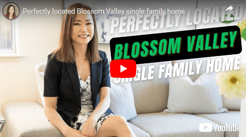 Perfectly located Blossom Valley single family home