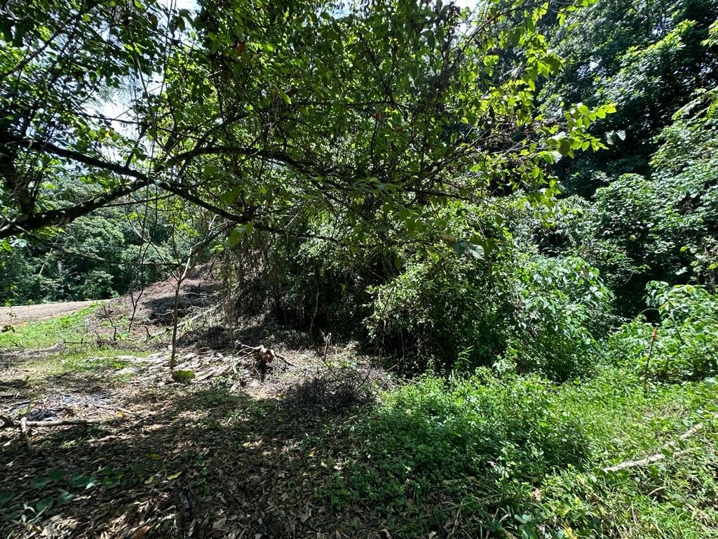 0.53 Acre Lot Located In the Exclusive Community of Puesta del Sol (Phase 10 - Lot #J10) Ojochal 