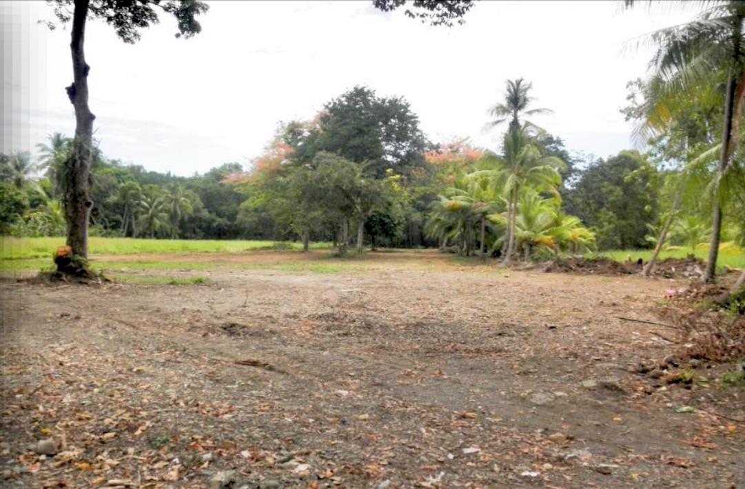 Quepos Commercial Property