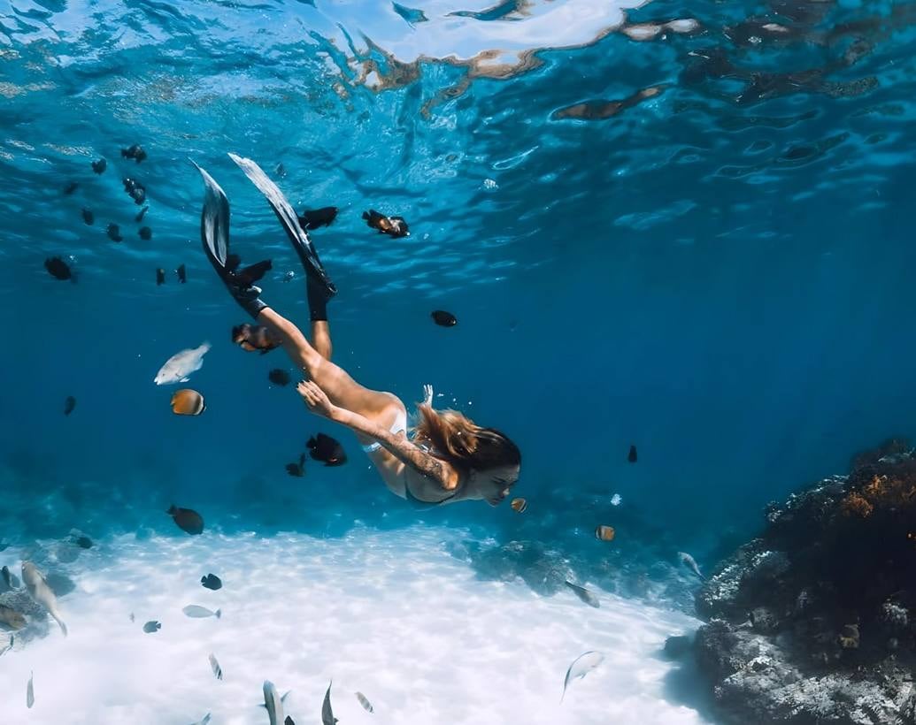 Casa Chameleon Condos