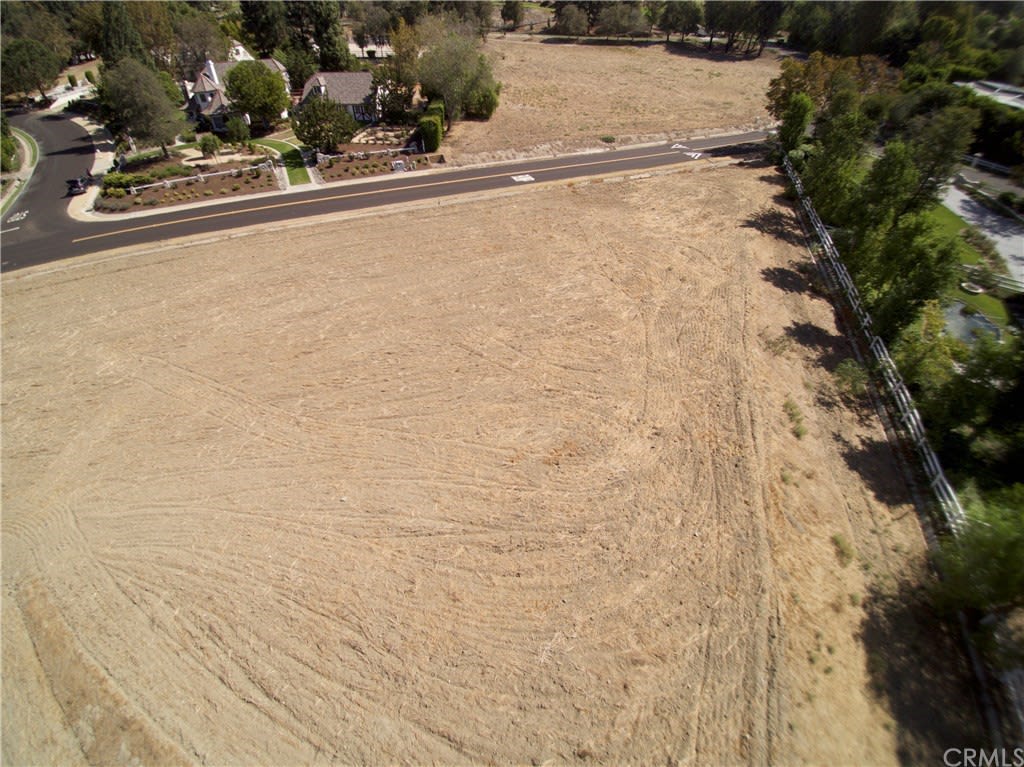 31572 TRIGO Trail