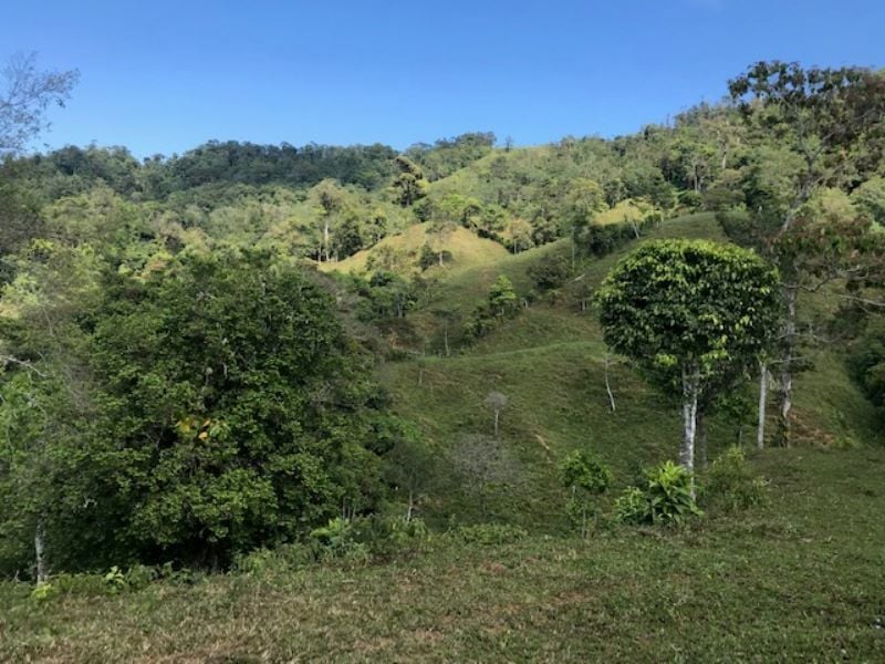 Spring Fed Ocean View Acreage, Uvita, Puntarenas