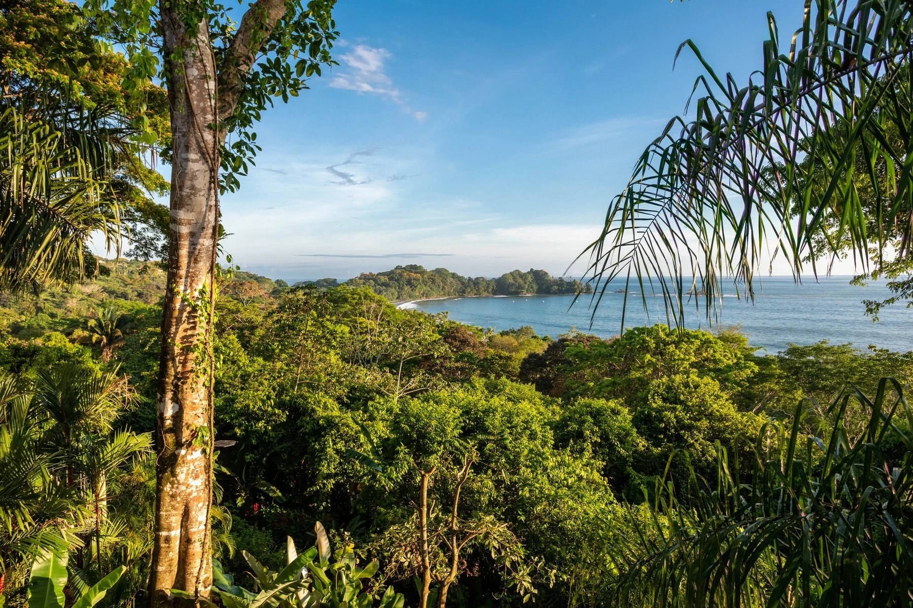 Casa Rinvia Ocean Views In Gated Community