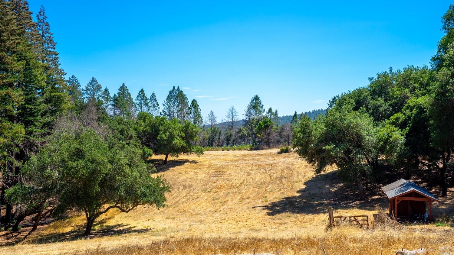Wallace Creek Rd. 