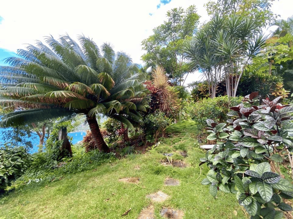 729 1 Bedroom in Ballast Bay