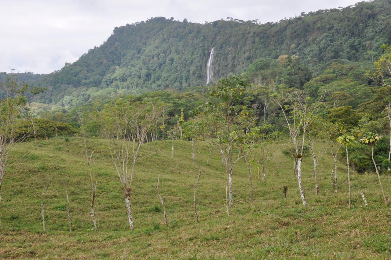 Waterfall View Farm On 80% Usable Land In Uvita