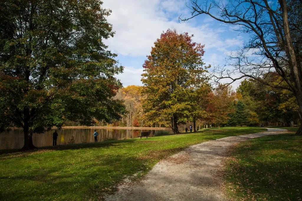 Discovering Kennett Square with Local Experts