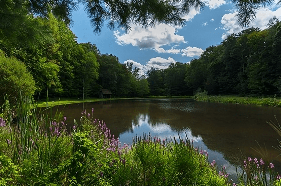 Pound Ridge