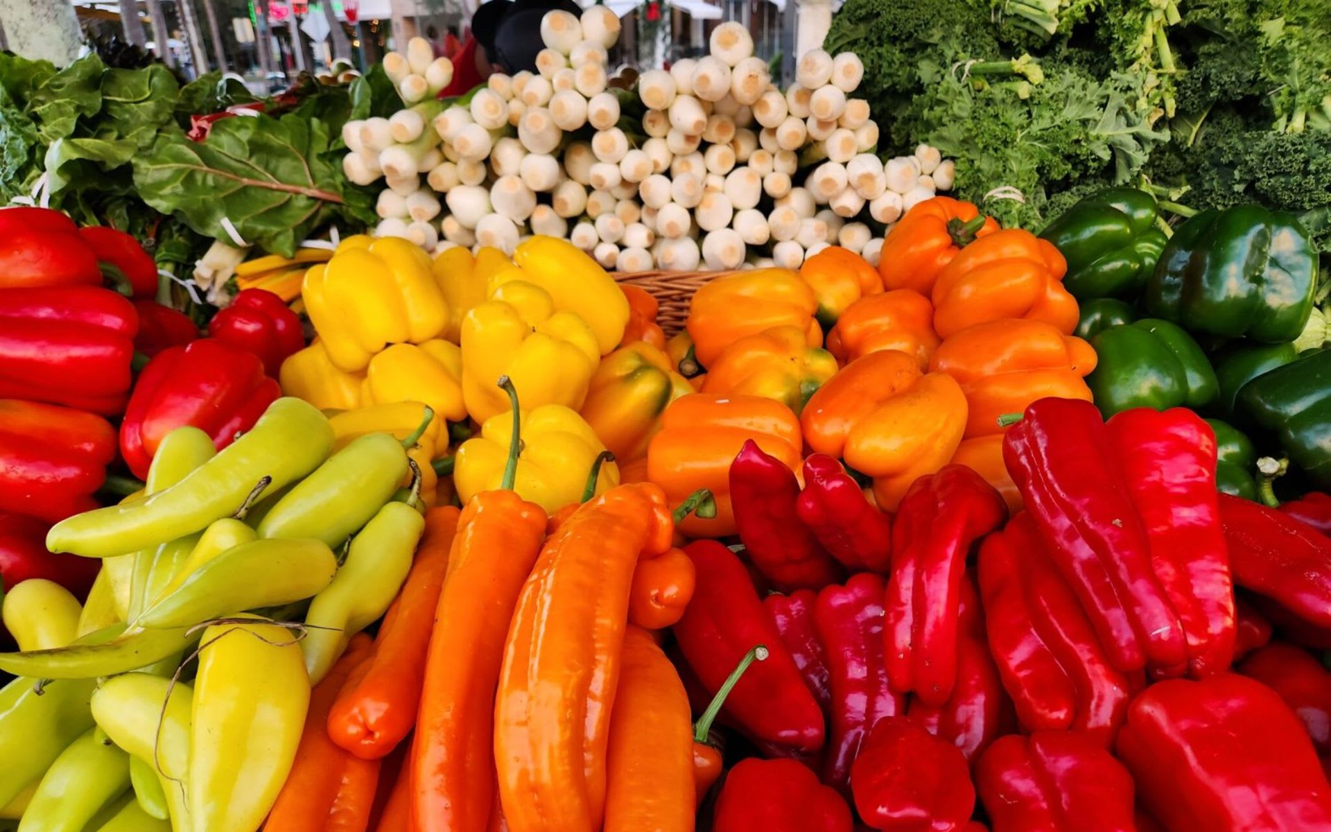 Discovering the Best Green Markets of Palm Beach County