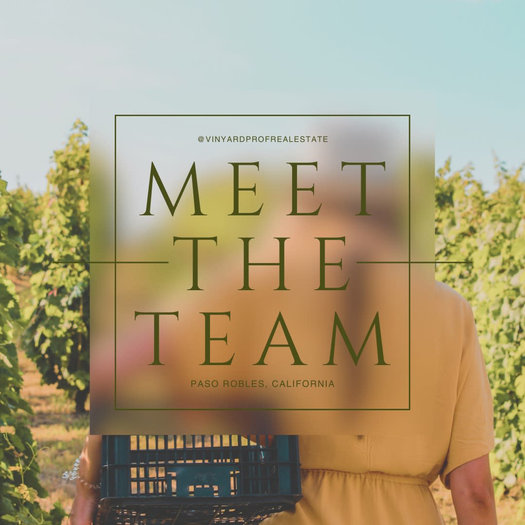 Meet the Vineyard Professional Real Estate Team, women founded and women led!⁠
