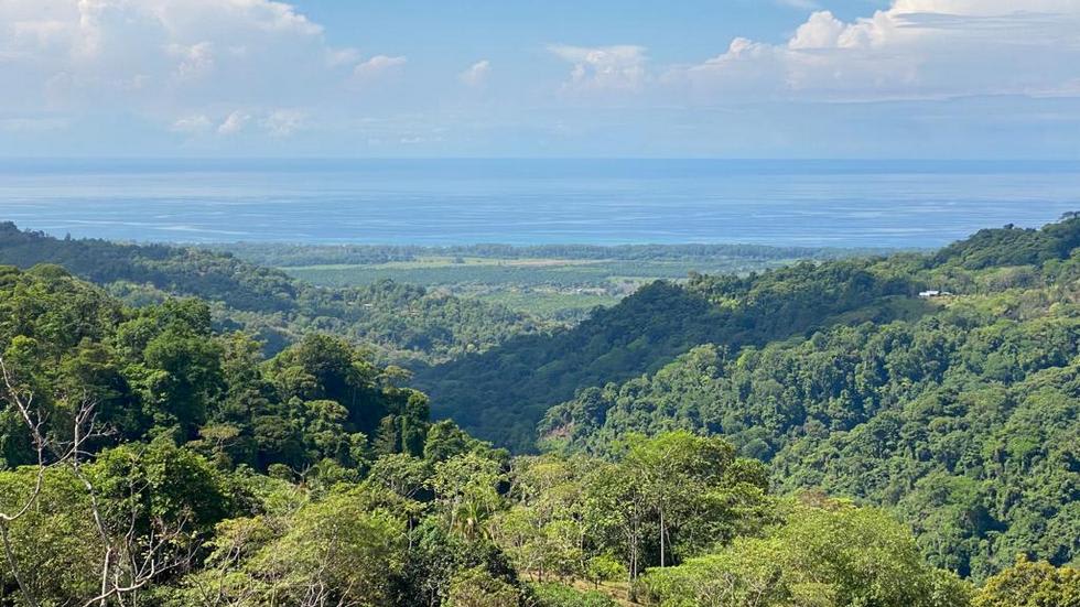 238 Acre Ocean View Property in Portalon with Waterfall