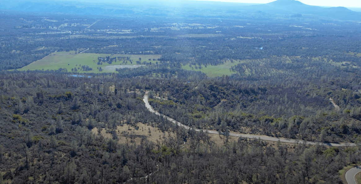 Wilson Hill Road, Shingletown