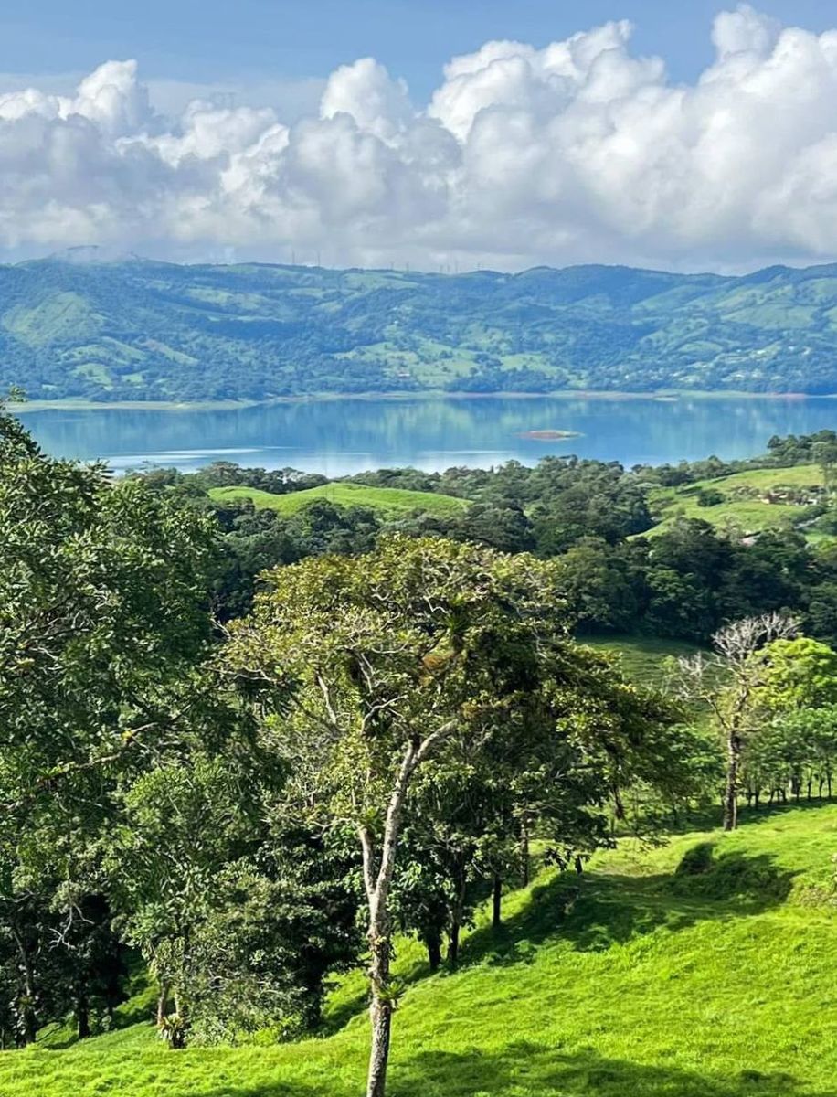 Permaculture Food Forest Land, Lake Arenal, Alajuela