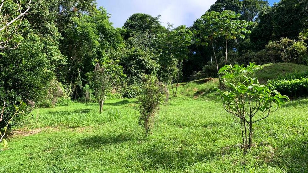 Ocean View Property with a Prime Location and Legal Water in Escaleras Dominical