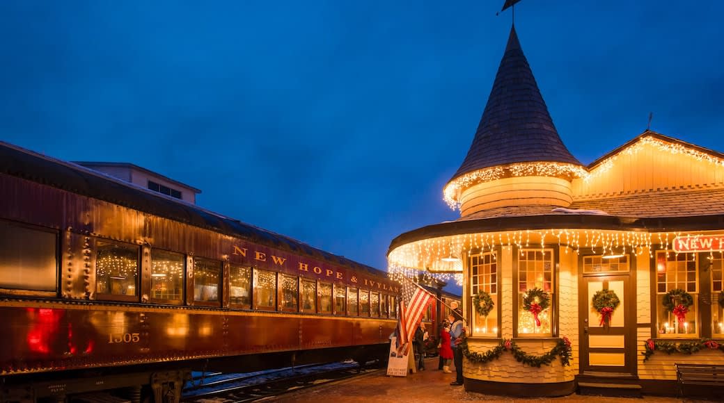 B&B's Top 5 Things To Do In New Hope During The Holidays