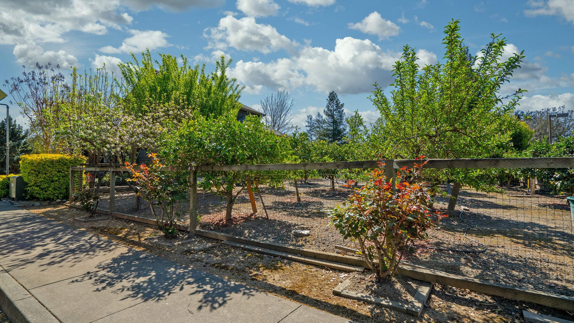 Wine Country Perfection - 1548 Healdsburg Avenue