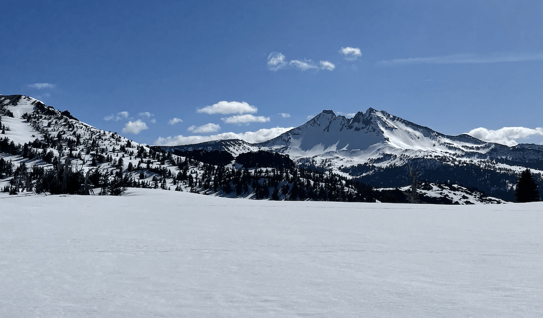 REAL ESTATE NEWS | FEBRUARY 2024