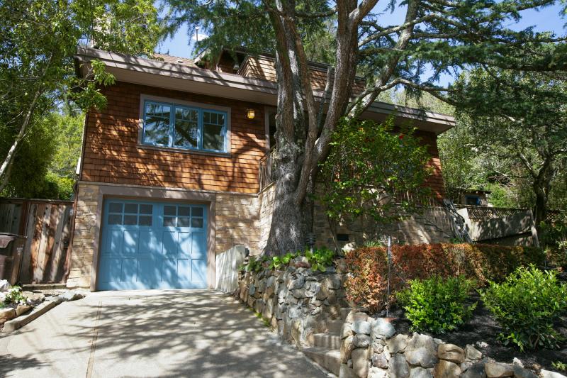195 Buena Vista Ave