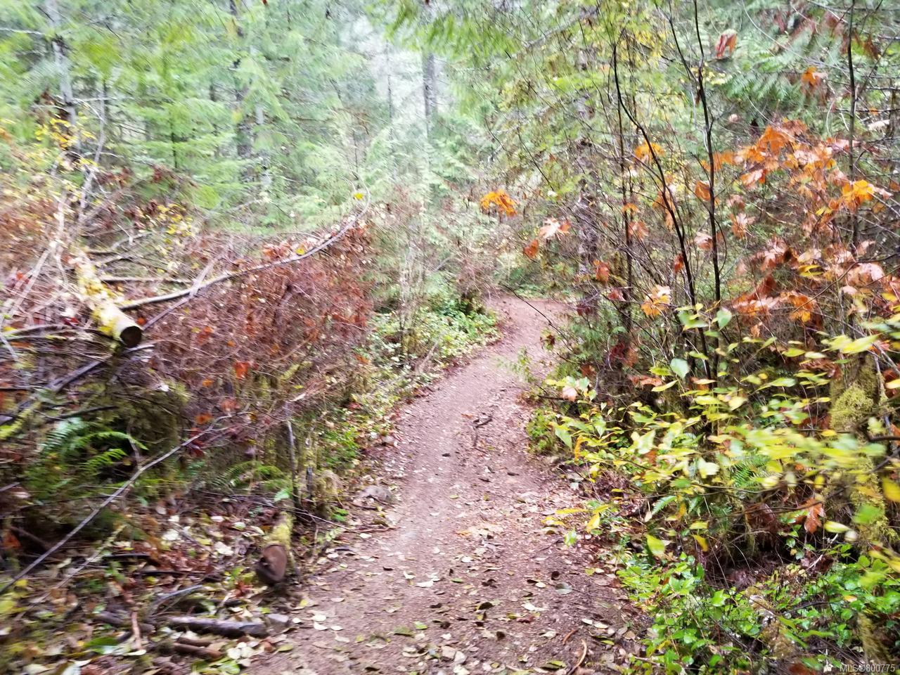 LT 3 Riverside Rd