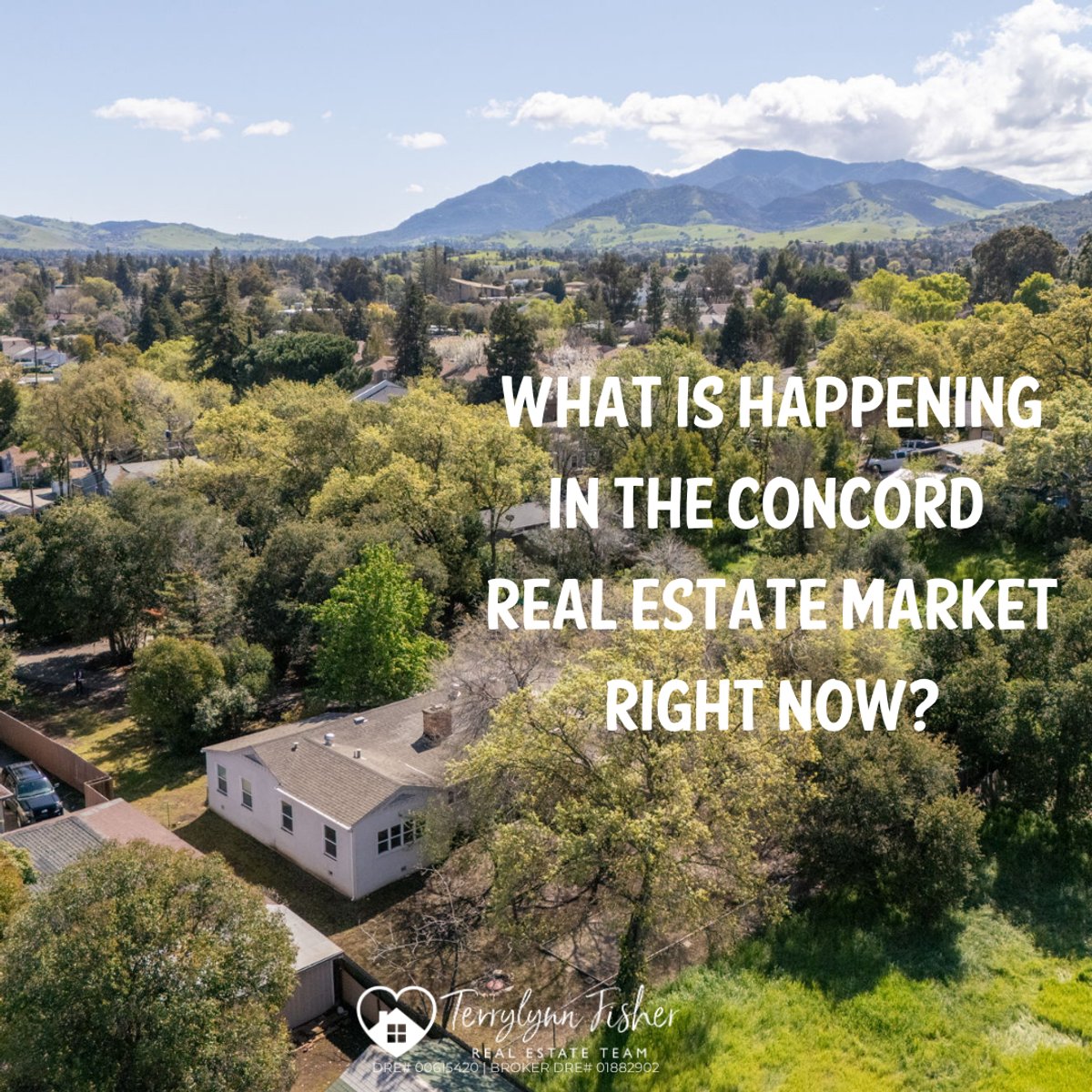What Is Happening in the Concord Real Estate Market Right Now?
