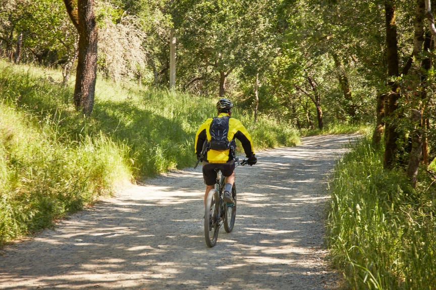 February / Marin