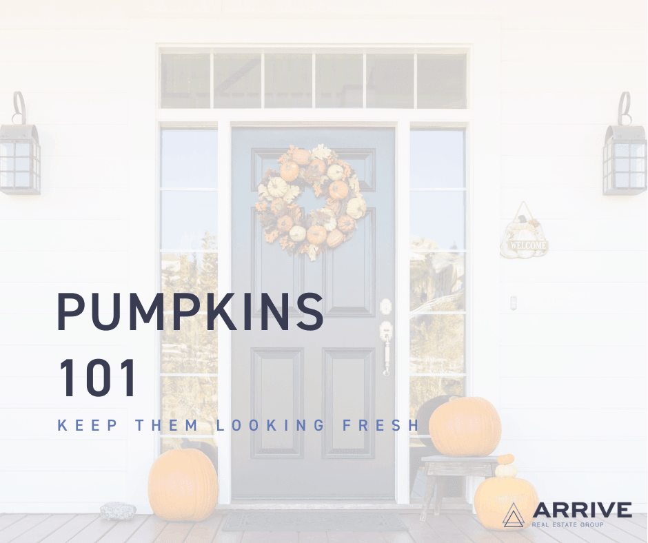 Pumpkins 101: Keep Your Pumpkins Looking Fresh