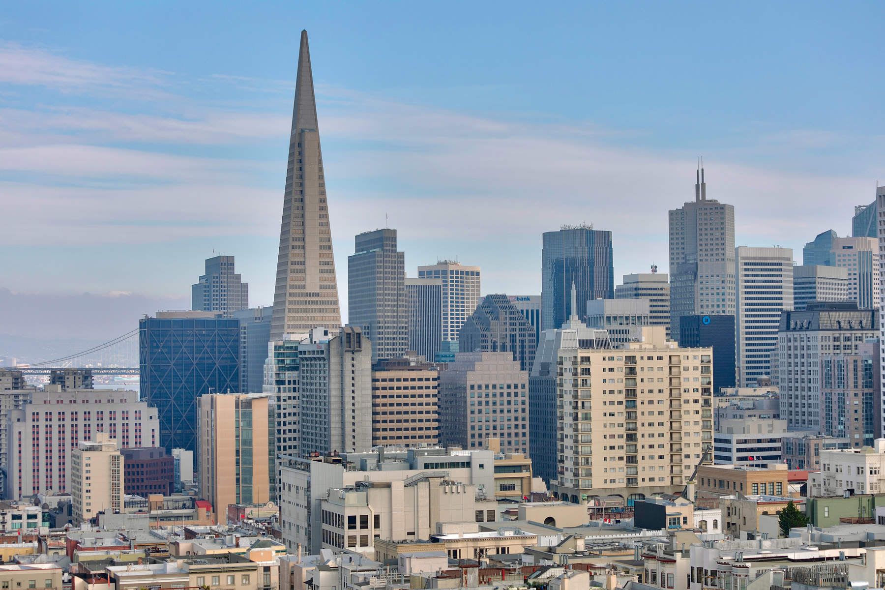Nob Hill Charmer