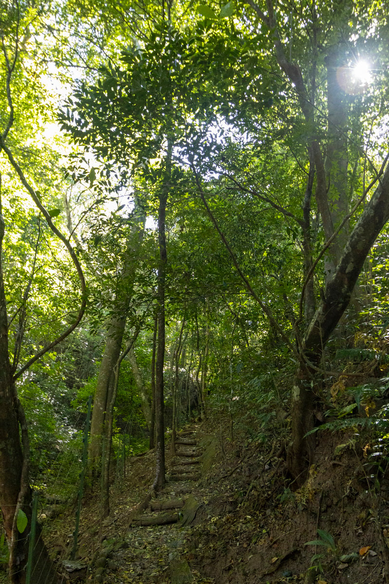 Stunning lot with views, Ciudad Colon, San Jose