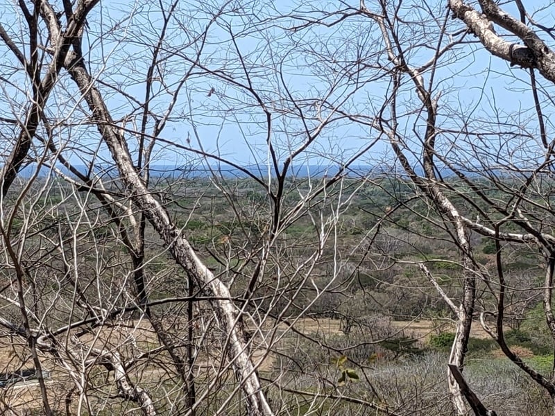 Ocean View Development Land, Tamarindo, Guanacaste