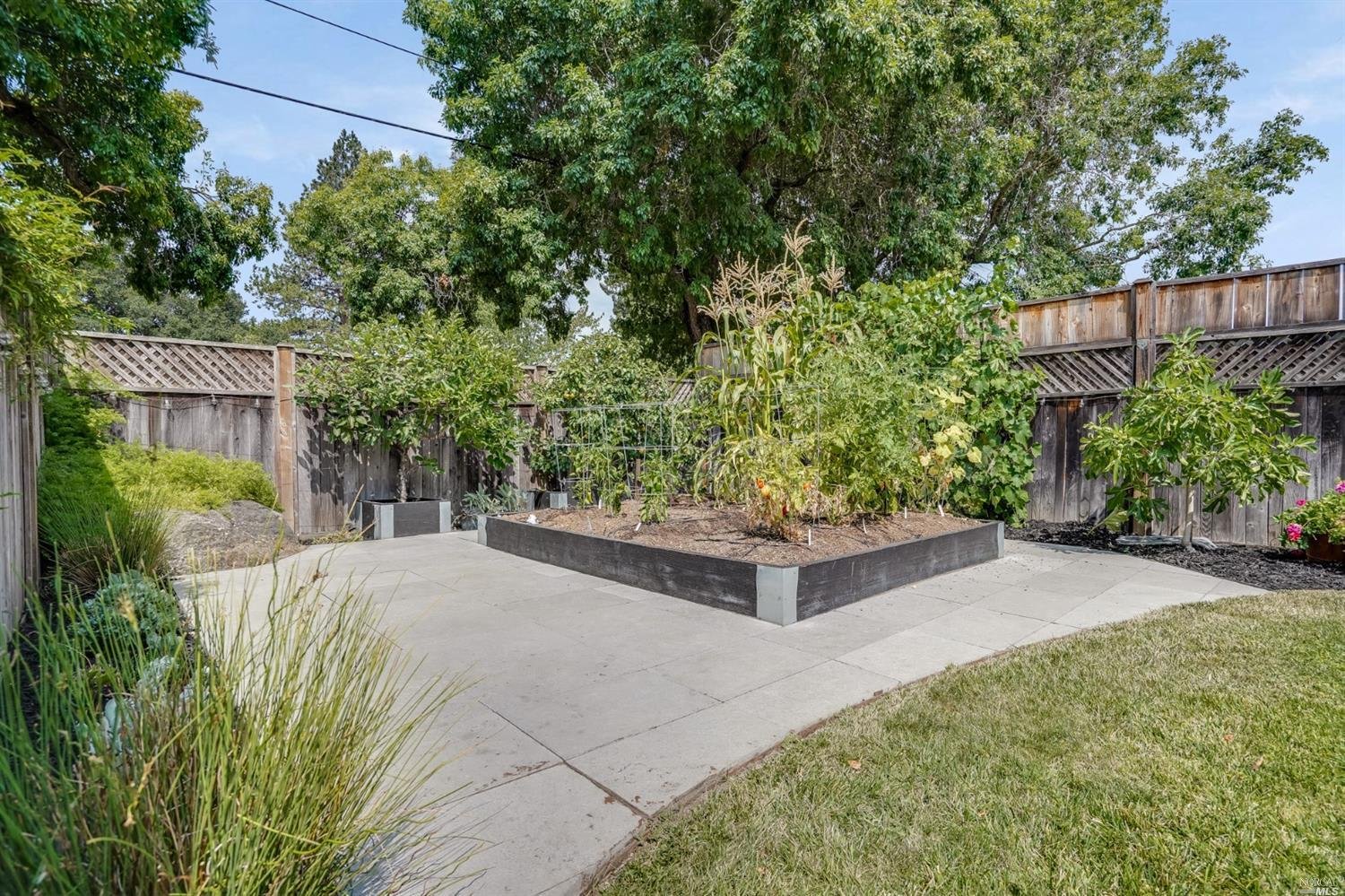 Hartson, Napa