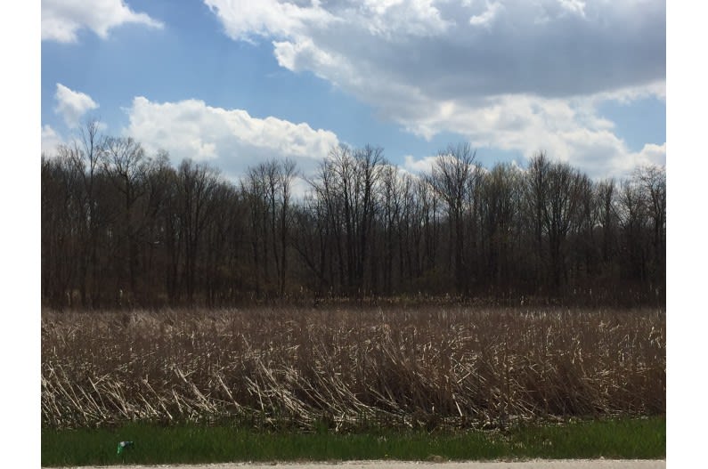 1933 W Puetz Rd