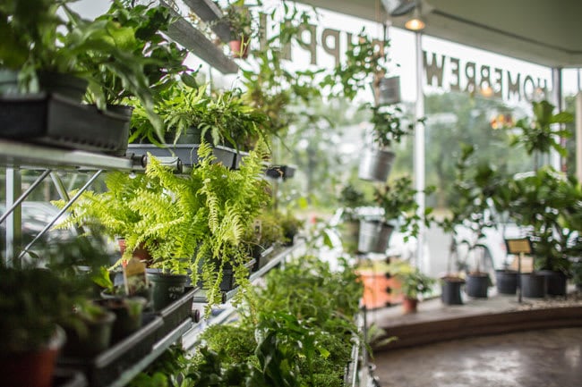 Bee’s Knees: Fun Finds